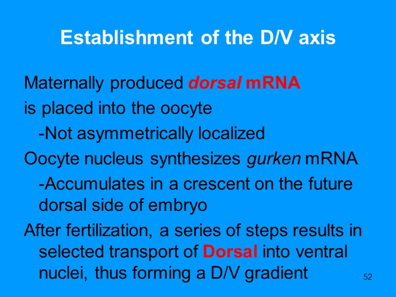 52 Establishment of the D/V axis Maternally produced dorsal mRNA is placed into 52 Establishment of the D/V axis Maternally produced dorsal mRNA is placed into